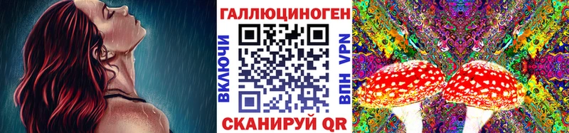 Псилоцибиновые грибы Cubensis  Лобня 